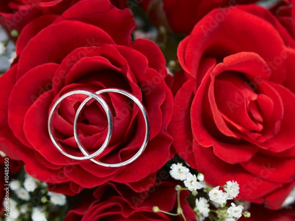 Fototapeta Closeup of wedding rings on red roses