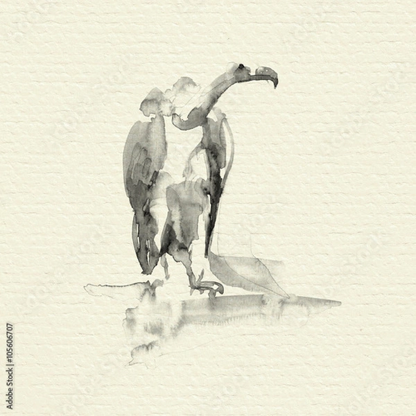 Fototapeta Andean condor. Watercolor illustration on paper texture background.