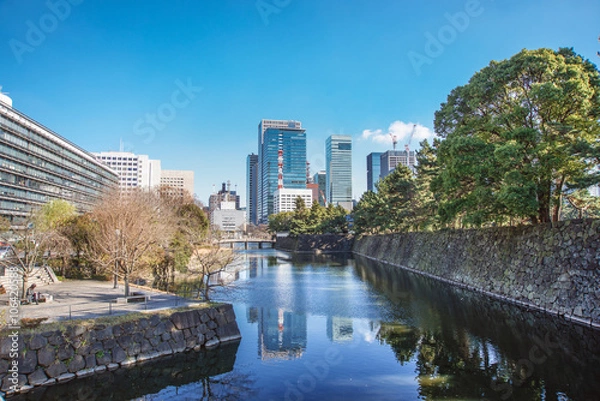 Fototapeta 江戸城とオフィスビル群の風景