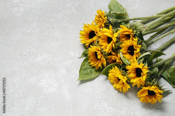 Fototapeta Sunflowers on a gray stone background