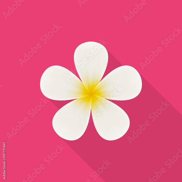 Fototapeta Plumeria (frangipani) flower icon - Vector