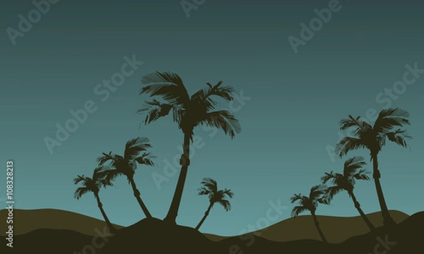 Fototapeta Scenery of palm tree silhouette