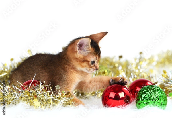 Fototapeta Cute kitten with christmas balls