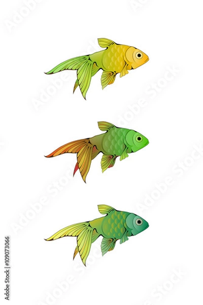 Fototapeta Hand-drawn ink-stylized little colorful aquarium fishes isolated on white