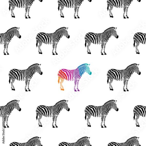 Fototapeta zebra black and white and colorful seamless background. isolated on white background.