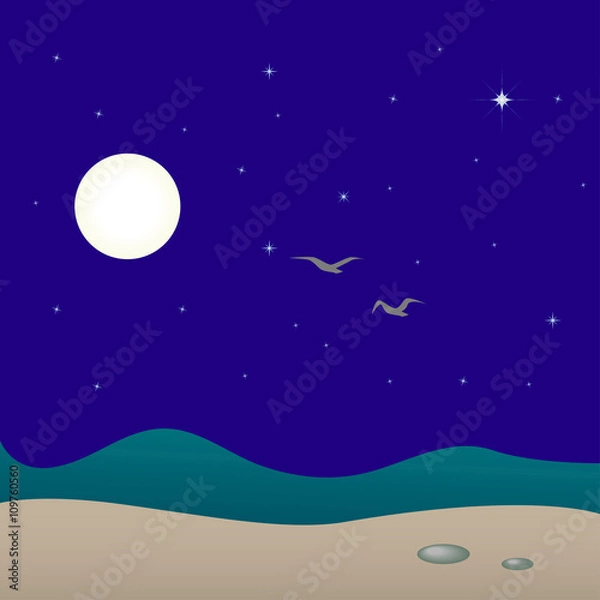 Fototapeta Night seascape, vector illustration