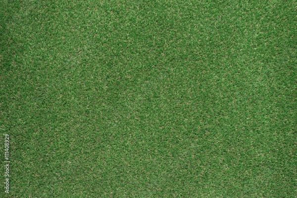 Fototapeta Green lush grass