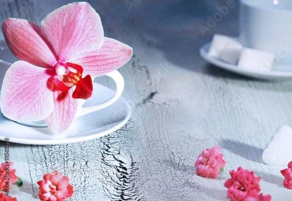 Fototapeta Orchid flower and cup