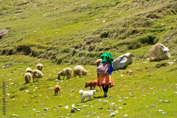 Fototapeta Schäferin in Anden, Peru