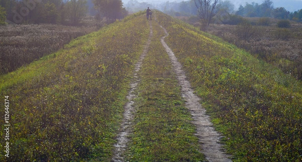 Fototapeta Las jesienią