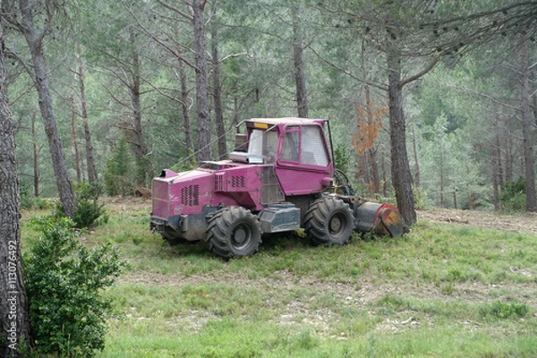 Fototapeta Engin dans la forêt