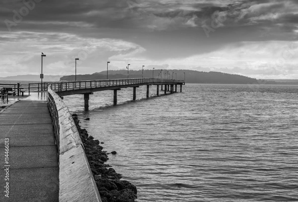 Obraz Pier In Black And White