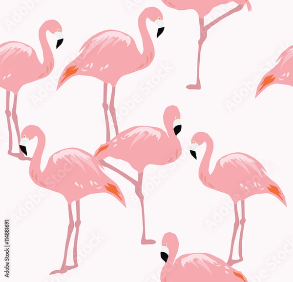 Fototapeta Vector Flamingo Bird