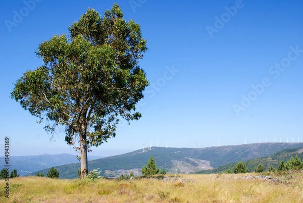 Fototapeta Serra da Lousã, Coimbra, Portugal