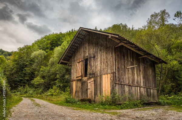 Fototapeta Old Wooden Shack on Forest Road