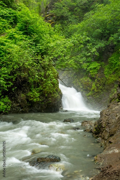 Fototapeta Thunderbird Falls in Alaska