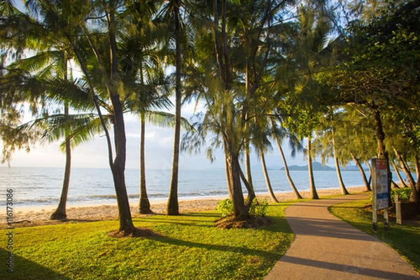 Fototapeta Palm Cove Beachfront