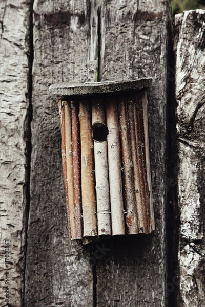 Fototapeta nichoir pour oiseaux, montagne