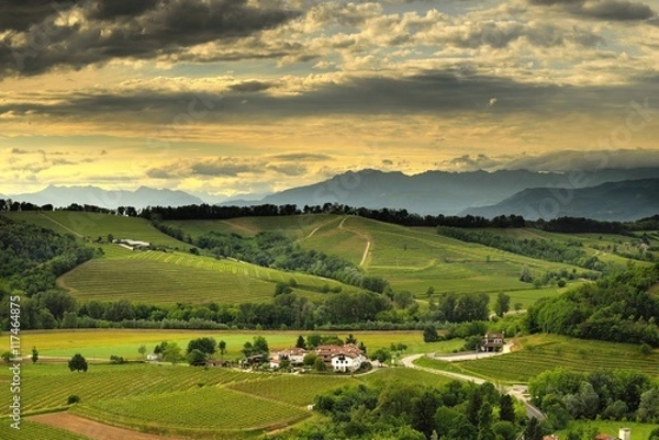 Fototapeta Wschodnie wzgórza Friuli Venezia Giulia (Włochy)