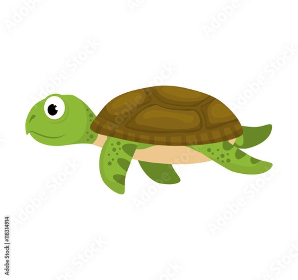 Fototapeta tortoise sea life animal cartoon icon. Isolated and flat illustration. Vector graphic