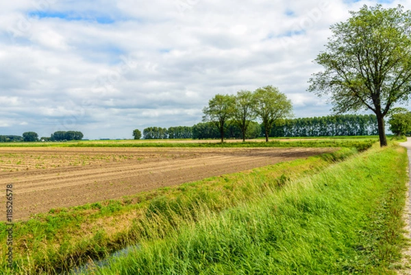 Fototapeta Colorful Dutch rural polder landscape in summertime