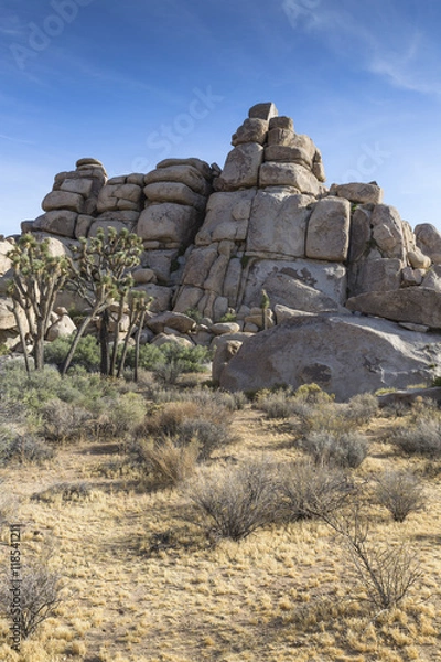 Obraz Fels im Joshua Tree National Park, USA