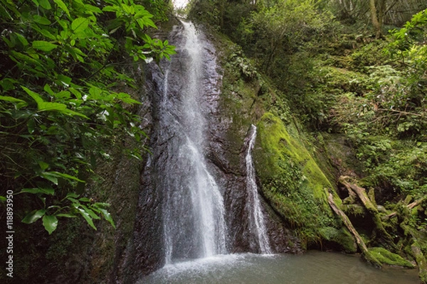 Fototapeta 愛媛県内子町　紅葉ヶ滝