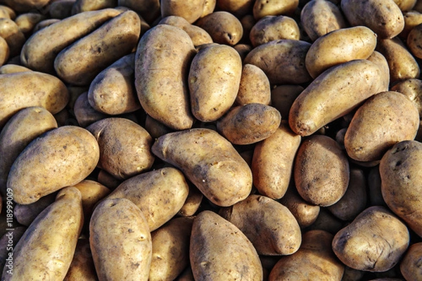 Fototapeta potatoes raw vegetables food in market