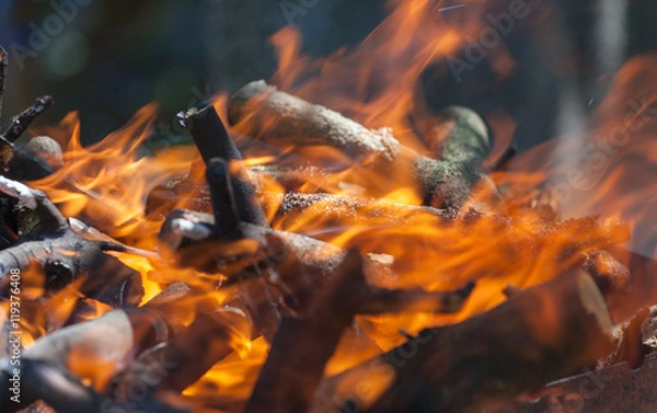 Fototapeta Bonfire in the forest