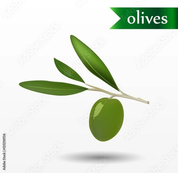 Fototapeta Vector olives icon