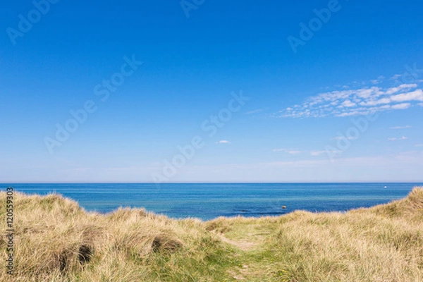 Obraz Dünen mit Gras und Meer im Sommer