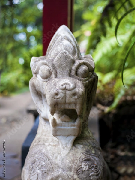 Fototapeta Asian stone dragon in garden.