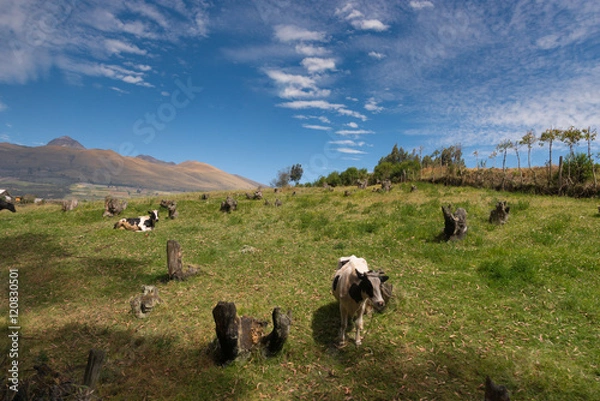 Fototapeta paesaggi dell ecuador