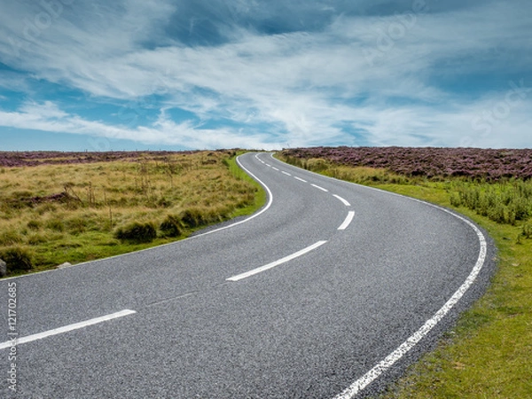 Fototapeta Curving Moorland Road