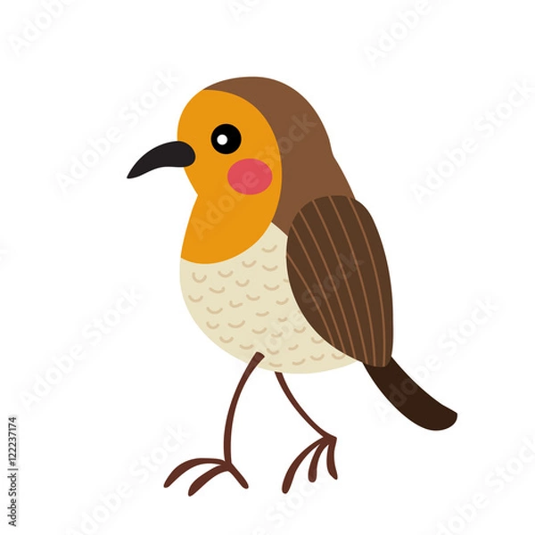 Fototapeta Walking Robin bird animal cartoon character. Isolated on white background. Vector illustration.