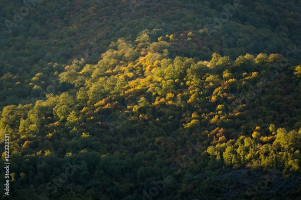 Fototapeta Hyrcania Forest, Mazandaran, Iran