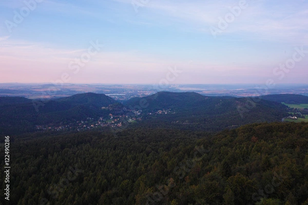 Fototapeta Hochwald in saxony