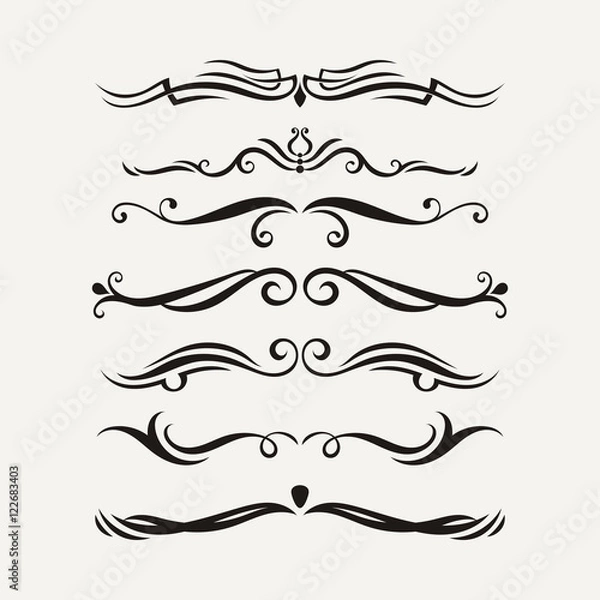 Fototapeta Vector set of elegant curls and swirls. Elements for design.