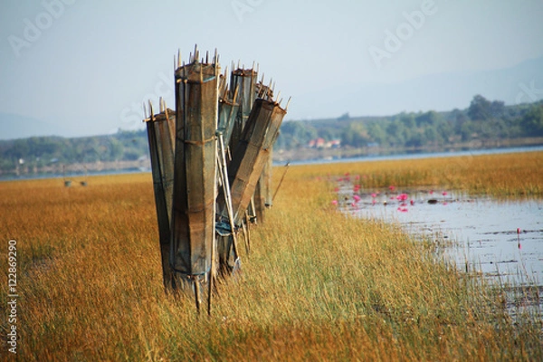 Fototapeta  Wetland Park and Bird