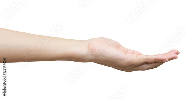 Fototapeta Empty female woman hand holding