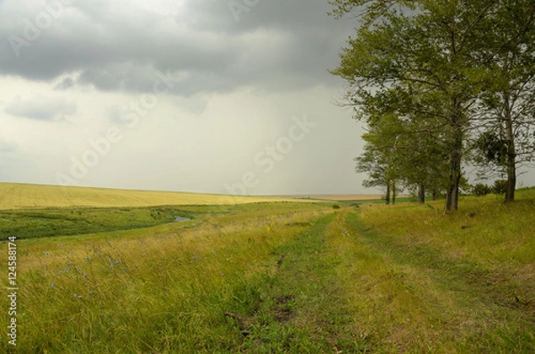 Fototapeta Cloudy summer landscape