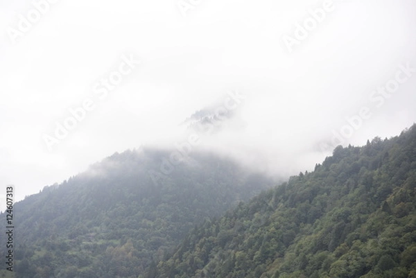 Fototapeta beautiful nature in plateau