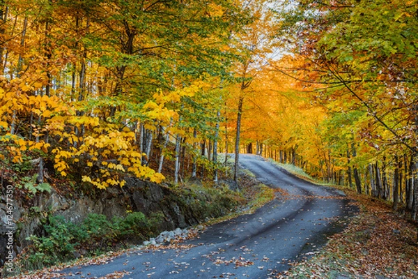 Fototapeta Cheminons l"automne