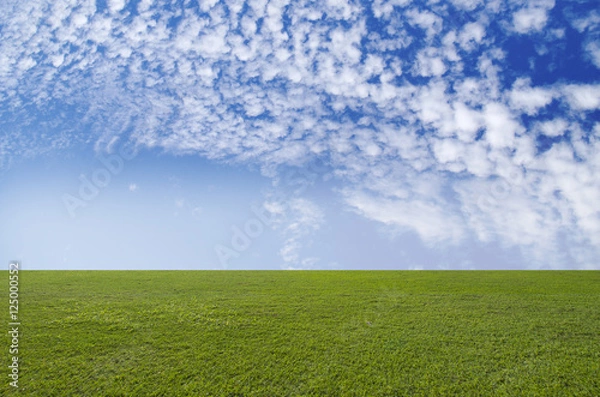 Fototapeta Green field and blue sky. Beauty nature background