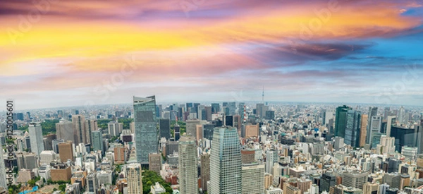 Fototapeta Tokyo at sunset. Beautiful aerial view in high resolution