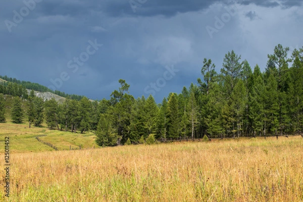 Fototapeta Altai mountain, Russia