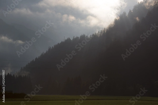 Fototapeta Herbstnebel im Tal