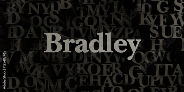 Obraz Bradley - Stock image of 3D rendered metallic typeset headline illustration.  Can be used for an online banner ad or a print postcard.