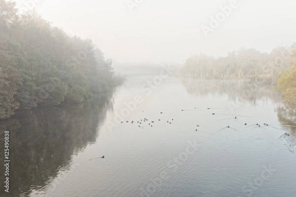 Fototapeta Early morning autumn mist hangs over the River Poulter