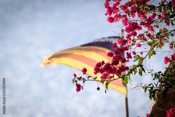 Fototapeta Majorca Flag